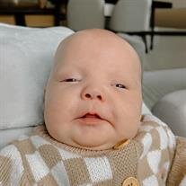 Beck Orion Larkin