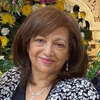 Mrs. Laila S. Soliman of Hoffman Estates