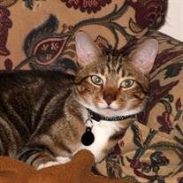 Tigger Miller