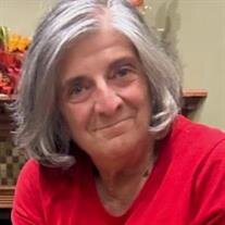 Ms. Nancy Ann Shick