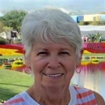 Carol A. Schneider Matts