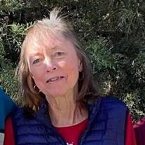 Debbie Sue Fleming