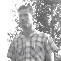 Robert Gibson