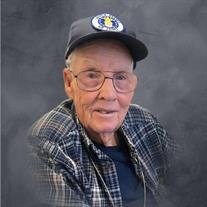Mr Delmar Francis Chapman Jr.
