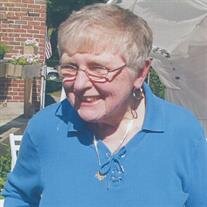 Dacia Van Antwerp