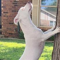 Roxy