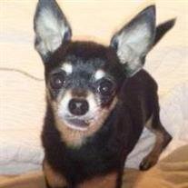 Diamond "Lil Man" Bentley