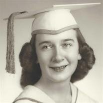 Ann Shillito