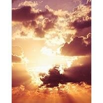 Phyllis M. McAnally