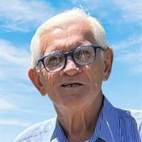 Robert David Sefcik