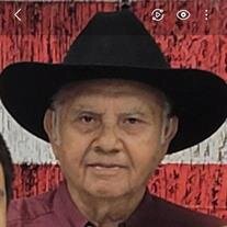 Victor Delgado Jr