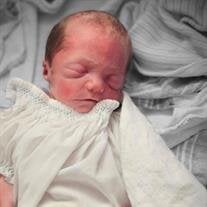 Eli Wayne Vanderweide