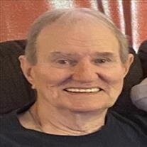 Ronald Ray Adams