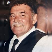 Vernon Berthold Lieser