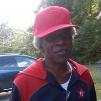 James Sylvester Johnson jr.
