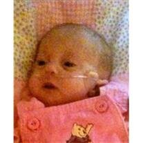 Alayna Laken Pollock