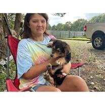 Cassie Brook Vandiver