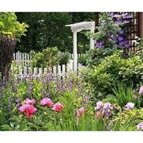Judy Peck Gates