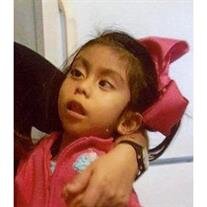 Anlly Lorena Ovalle Perez