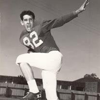 Mr. C.J. Whitehead
