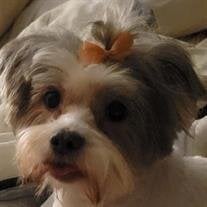 Maizie Joplin Lewellen