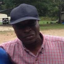 Mr. Albert Grant