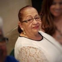 Elsa Aviles