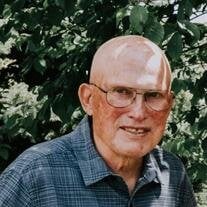 Mr. Alvin John Polanchek