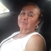 Martha Alicia Martinez
