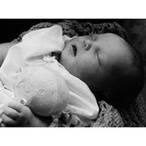 Addison Hope Warren