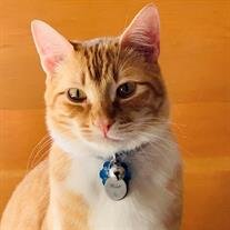 Milo