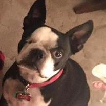 Jack