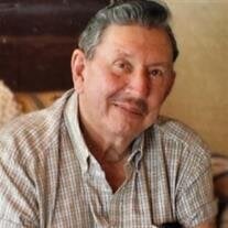 Robert Milford Weber