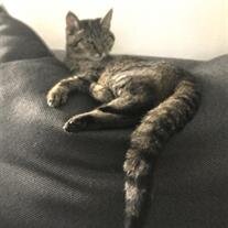 Missy Muck