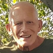 David P. Halfmann