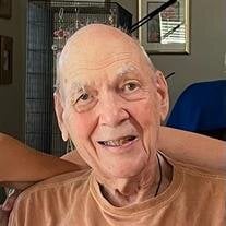 William "Bill" E Gosnell