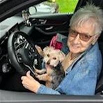 Carol Sheehan