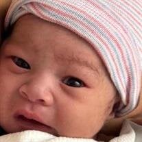 Jackson Ligor Francis