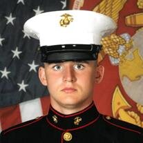 Alex Fields
