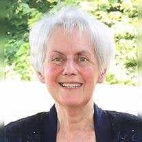Judy Ann Meinz