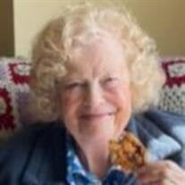 Mrs. Tryntje deVries