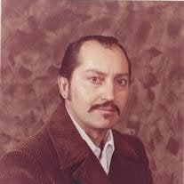 Julius N. Wanner