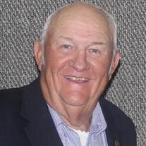 Michael Ray Organ Sr.