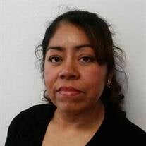 Delia Jimenez Gamboa