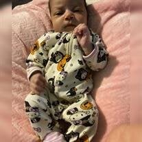 Baby Sky Lashay Cobb