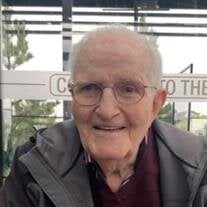 Mr. George Murray Webb