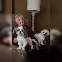 Cynthia Carol Jacobsen