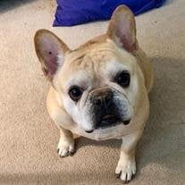 Winnie