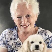 Anna Diana Dijkman Springer