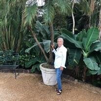 Joyce Ann Hill Stell-Krotzer